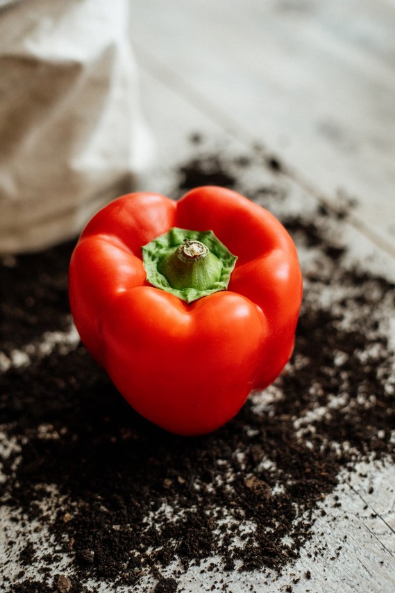 Zelenina - Paprika červená hrubostenná